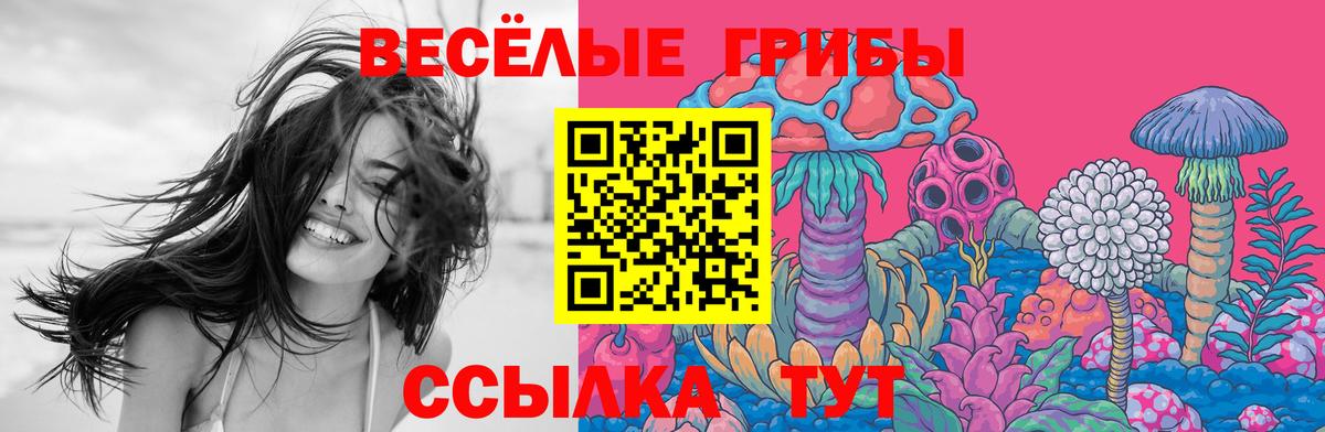 Псилоцибиновые грибы ЛСД  Вход с VPN  где найти   Корсаков  Галлюциногенные грибы мухоморы 